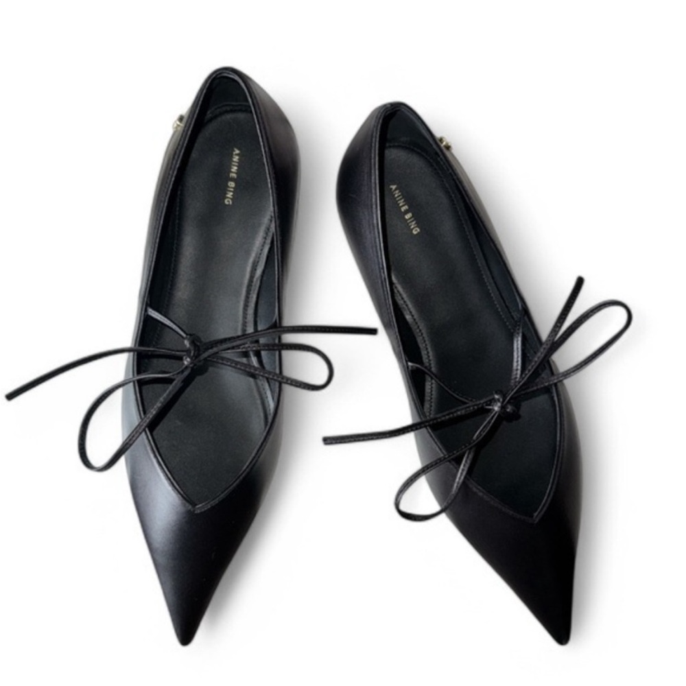NEW Anine Bing Nikki pointy flats